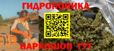 apvp Пыть-Ях