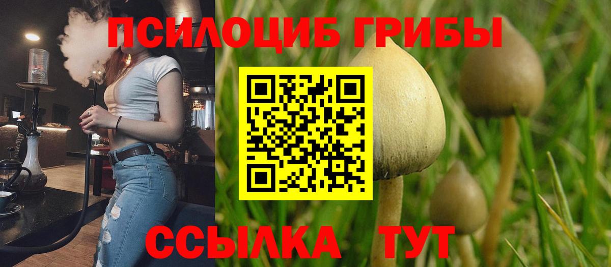 Галлюциногенные грибы MAGIC MUSHROOMS Ангарск