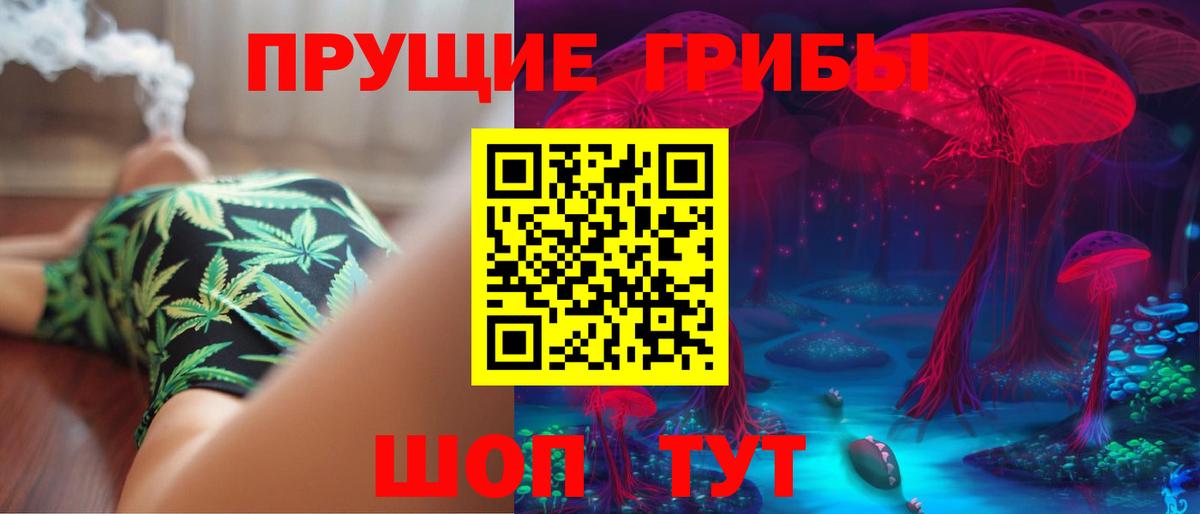 Ангарск  Псилоцибиновые грибы ЛСД  хочу наркоту  Вход с VPN 
